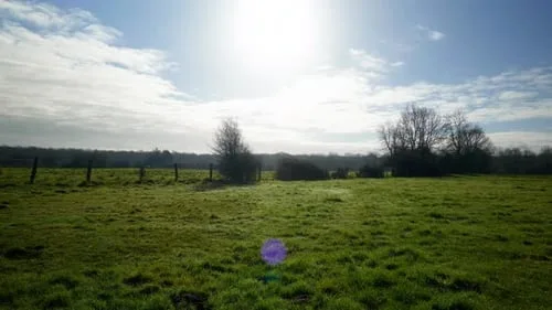 香蕉漫画自然风光视频素材分类